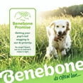 thumbnail image 6 of Benebone Fishbone Durable Dog Chew Toy for Aggressive Chewers, Real Fish, Giant, 6 of 6