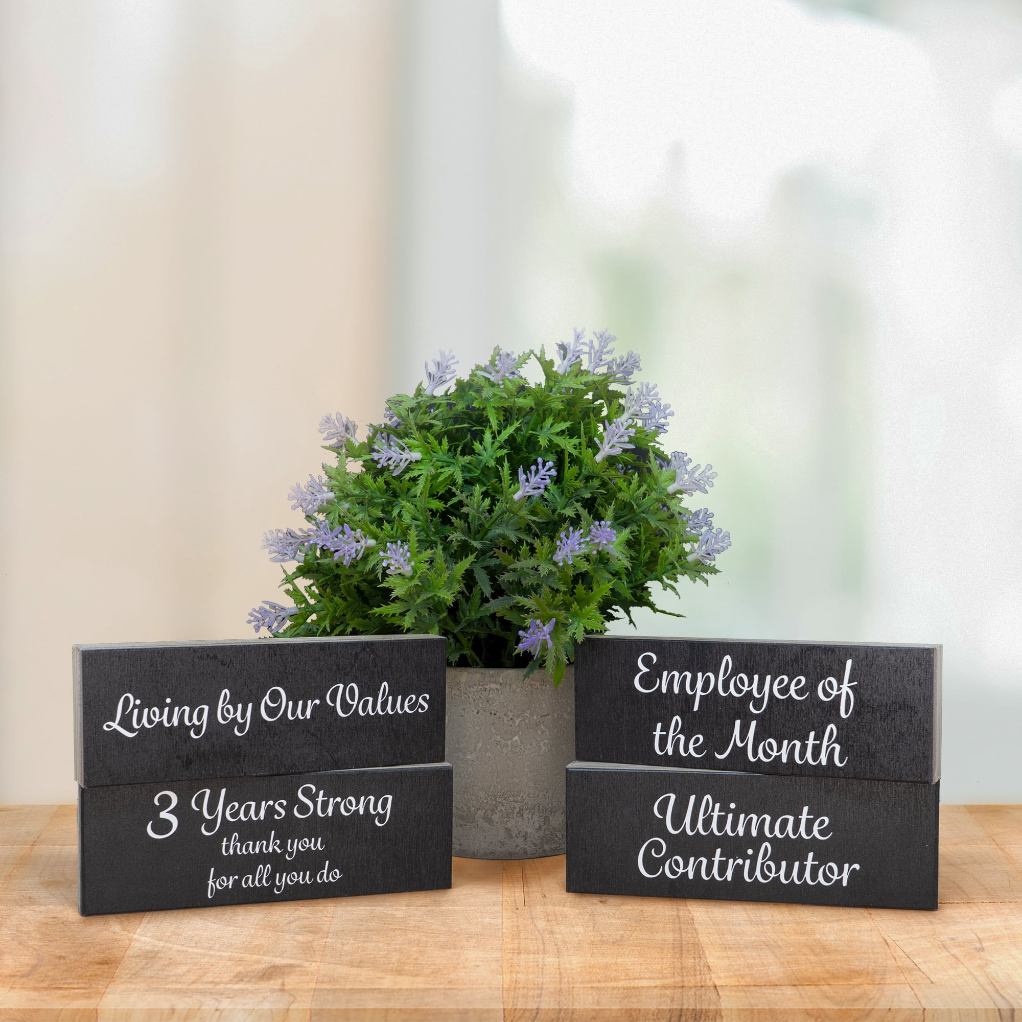 JennyGems Employee Recognition Gifts, Employee Appreciation Gifts Recognition Coworkers, Motivation Gifts for Coworkers, Team Gifts, Employee Thank You Gifts Appreciation (Anniversary/Motivation)