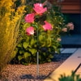 thumbnail image 5 of 2-Pack Solar Rose Lights for Garden Decor | Outdoor Solar Powered LED Flower Lights with Stakes | Waterproof Landscape Lighting for Walkways, Patios, and Flower Beds, 5 of 6