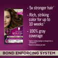 thumbnail image 2 of Tinte para el cabello Schwarzkopf Keratin Color 6.64 Champagne Brown, 2 of 7