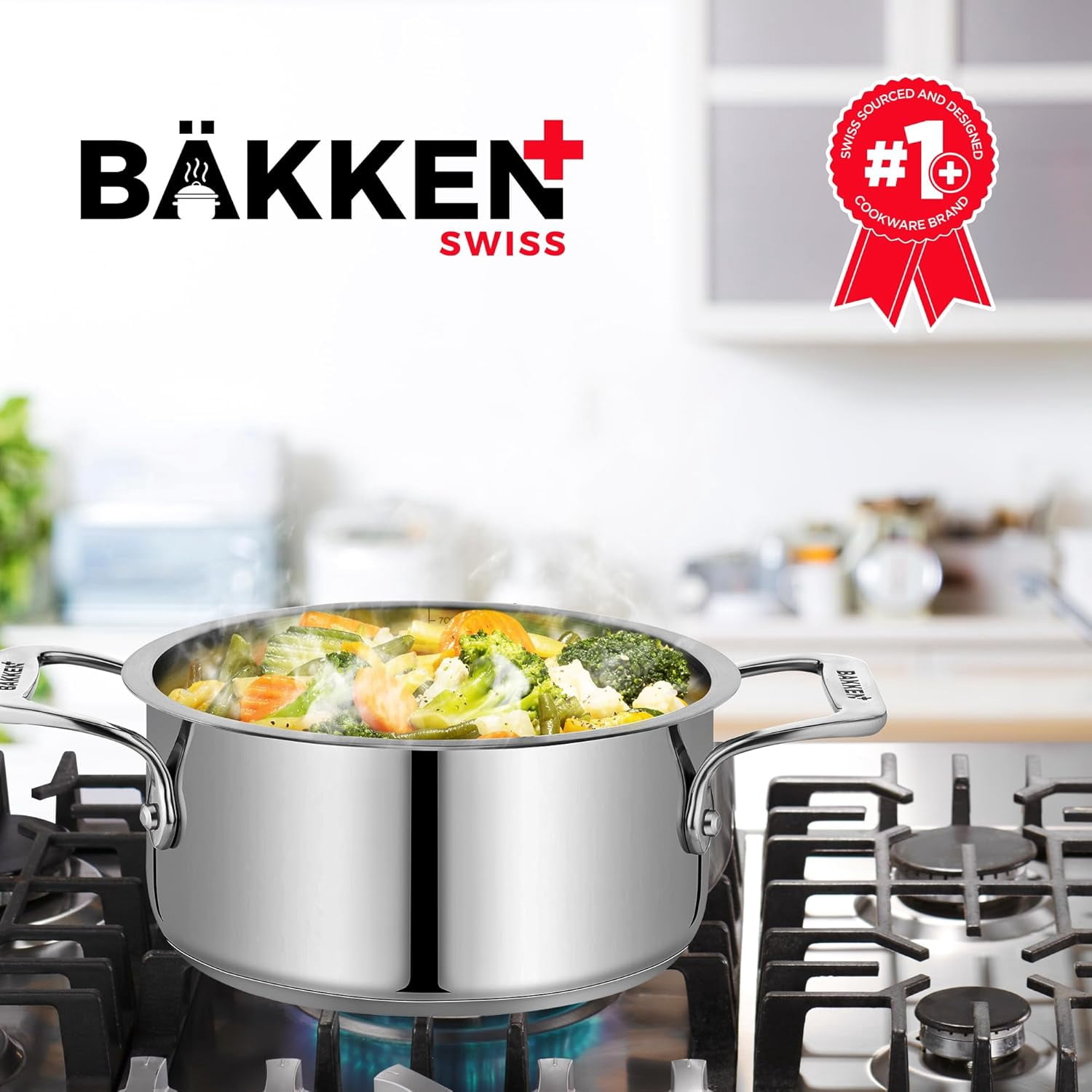 Bakken 2-Quart Stainless Steel Stockpot with Lid, Heavy-Duty 18/8 Steel, Riveted Handles, Oven & All-Stove Safe