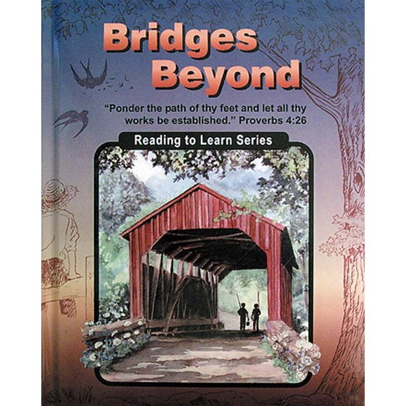 Bridges Beyond