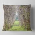thumbnail image 2 of Designart Pathway Through Fall Green Trees - Landscape Photography Throw Pillow - 16x16, 2 of 5