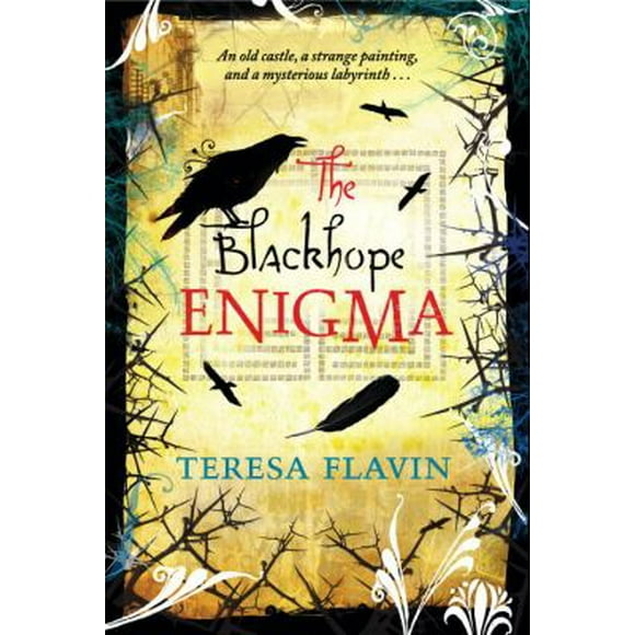 Pre-Owned The Blackhope Enigma (Paperback) 0763660671 9780763660673