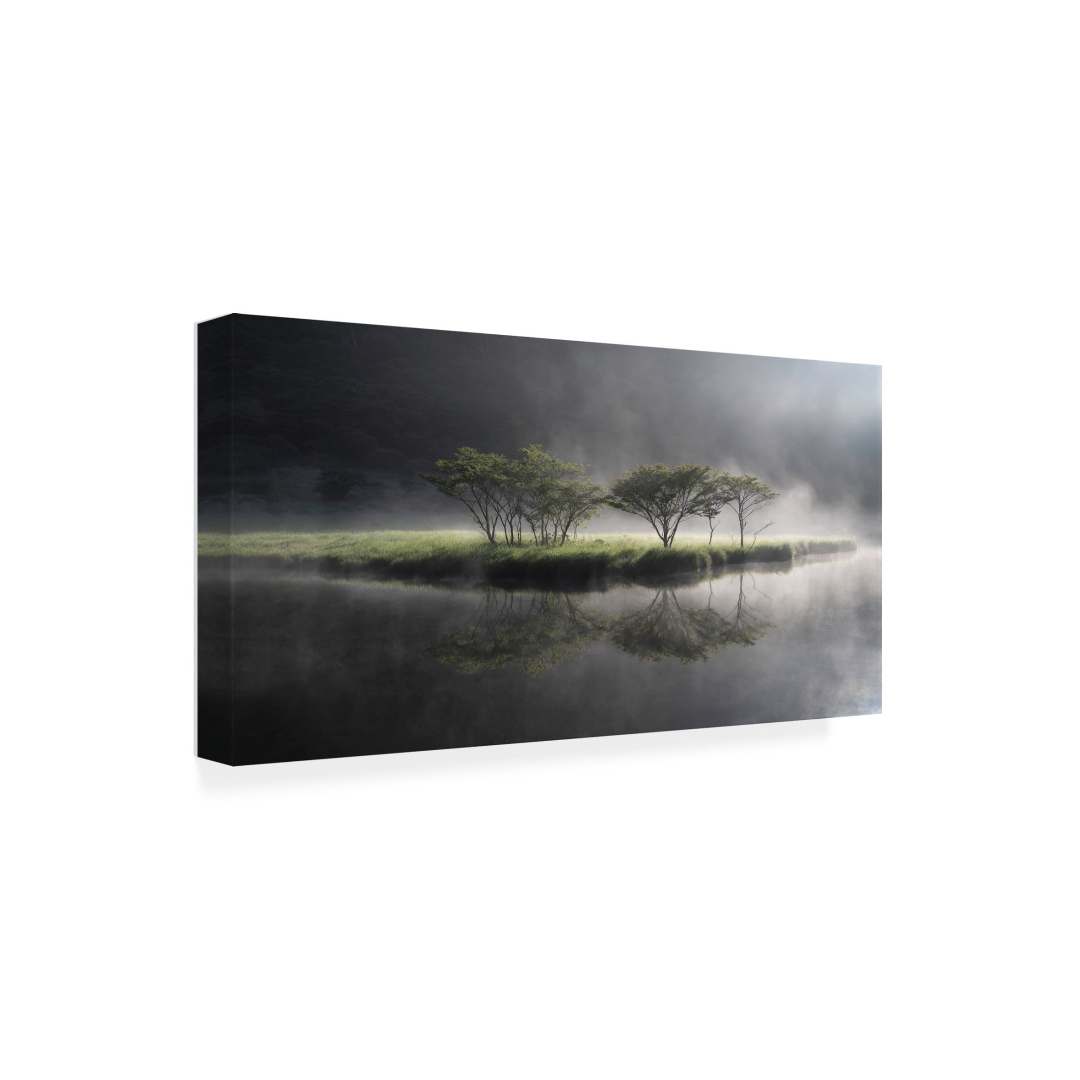 Trademark Fine Art Akira Nagase Fantasy Symbol Tree Canvas Wall Art