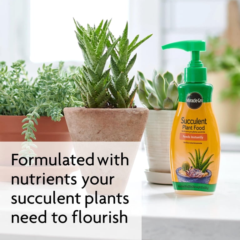 Miracle-Gro Succulent Plant Food, 8 oz., For Succulents including Cacti,  Jade, And Aloe - Walmart.com