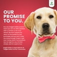 thumbnail image 4 of Doggie Dailies Wild Alaskan Salmon Oil for Dogs Made in the USA, Fish Oil for Dogs Rich in EPA & DHA to Support Skin & Coat Health, Joint Health, Heart Health & The Immune System, 4 of 8