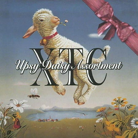 Upsy Daisy Assortment