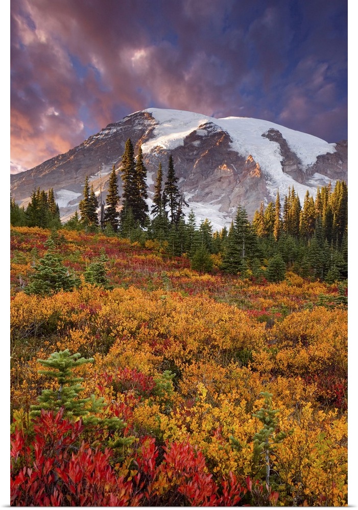 Пейзаж4. Горная тундра и альпийские луга. Холмы испании. Широколиственные леса швейцарии. Landscape html.