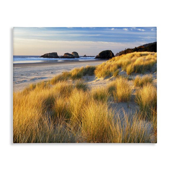Stupell Industries Coastal Beach Grasses Summer Shoreline Canvas Art, 40 x 30, by Dennis Frates