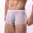 thumbnail image 2 of Men's Solid Color Trend Mesh Breathable Briefs for Everyday Comfort and Lightweight Support, 2 of 5