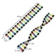 thumbnail image 5 of Kids Toys,childrens Toys Kids Dna Model Kit, Double Helix Model Dna Display Component For Science Teaching Display Watson Crick Model Educational Toys, 5 of 5