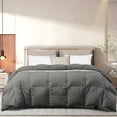 thumbnail image 4 of Beautyrest  Color Feather And Down Comforter Brick - King, 4 of 5