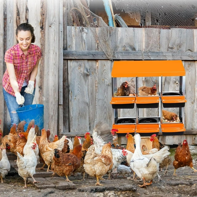 6-Hole Metal Chicken Nesting Box with Roll-Away Egg Tray and Large Holes