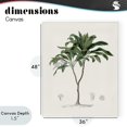 thumbnail image 4 of Stupell Industries Bohemian Coastal Palms Vintage Canvas Art, 36 x 48, by Val Rhodes, 4 of 8