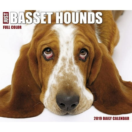 - 2019 Just Basset Hounds Desk Calendar, by Willow Creek Press