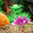 thumbnail image 4 of unbranded Para Acuario Con Tropicales Falsas En Tono Natural, 4 of 8