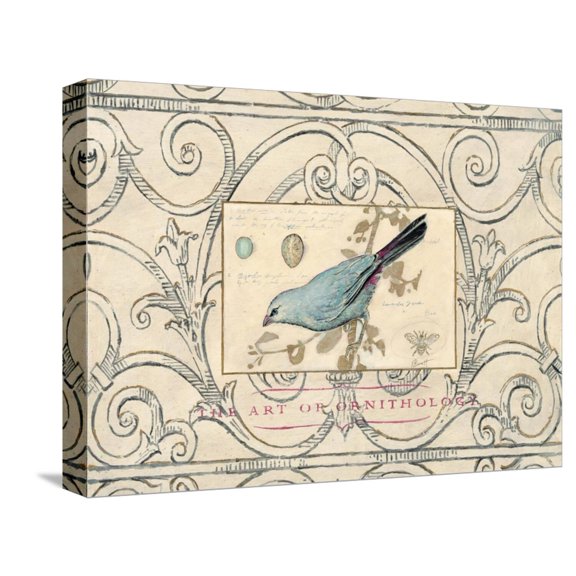 Art.com Songbird Etching 2 Stretched Canvas Print Wall Art by Chad Barrett, 16" x 12"