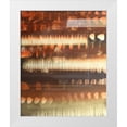 thumbnail image 1 of Springet, Mike 20x24 White Modern Wood Framed Museum Art Print Titled - Flourish 47, 1 of 4