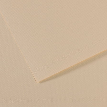 Canson Mi-Teintes Drawing Papers - 8-1/2" x 11", Eggshell, 25 Sheets