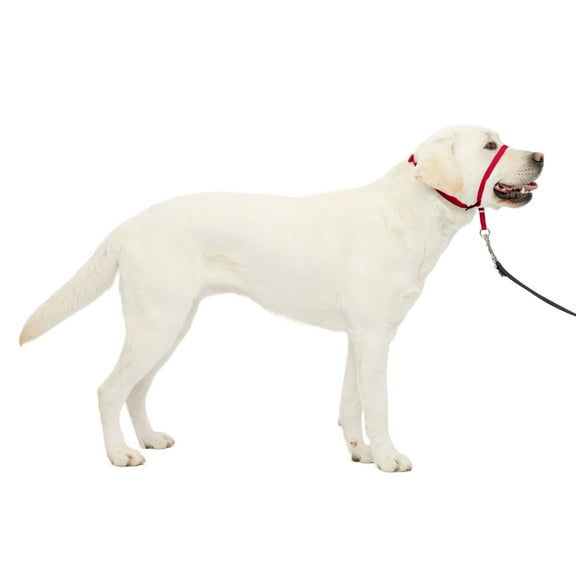 PetSafe Gentle Leader Headcollar, No-Pull Dog Collar, Large 60-130 Lb., Red