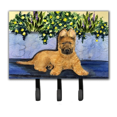 Multicolor Carolines Treasures SS8035SH4 Briard Leash Holder or Key Hook Small Multicolor Carolines Treasures SS8035SH4 Briard Leash Holder or Key Hook Small