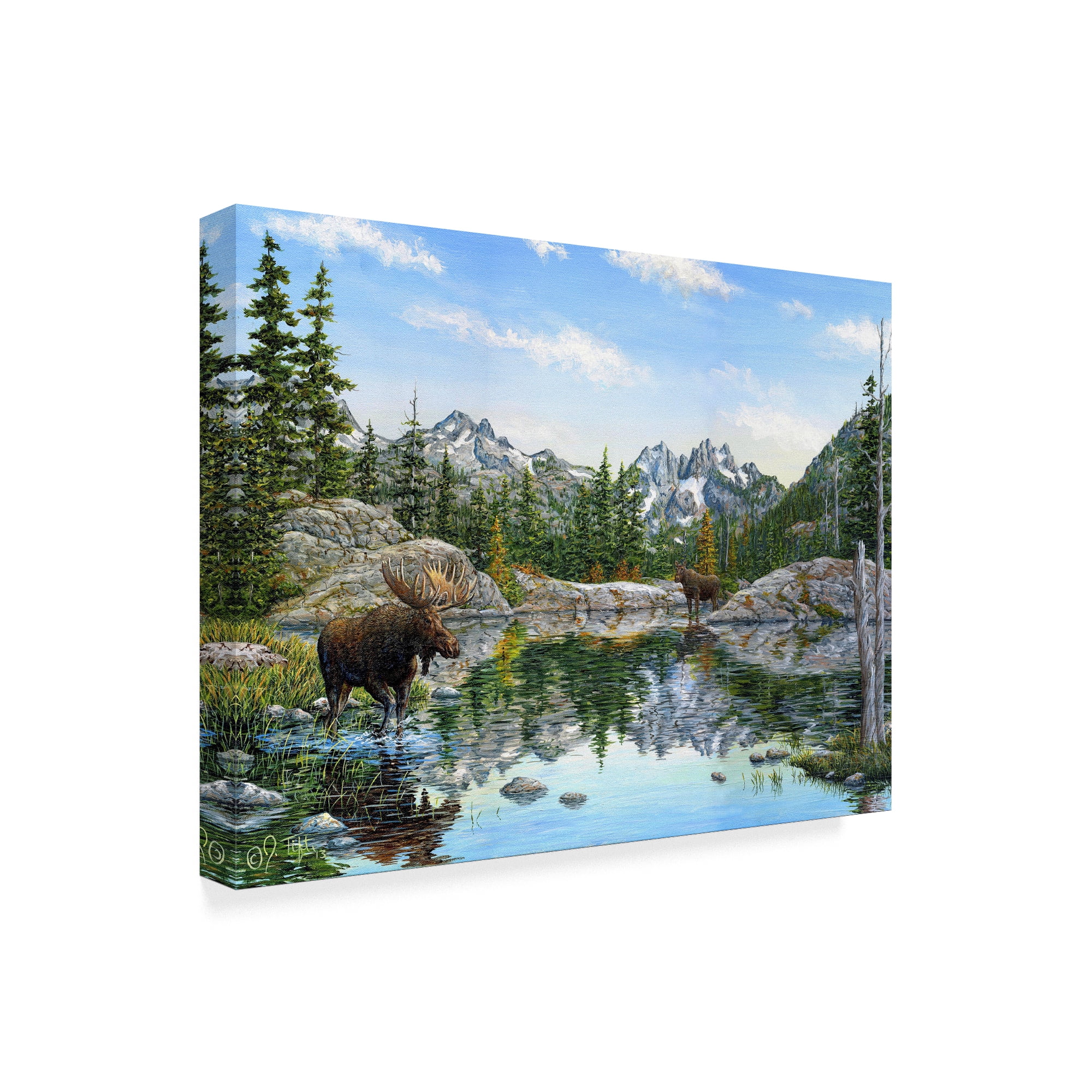 Trademark Fine Art 'Moose' Canvas Art by Jeff Tift