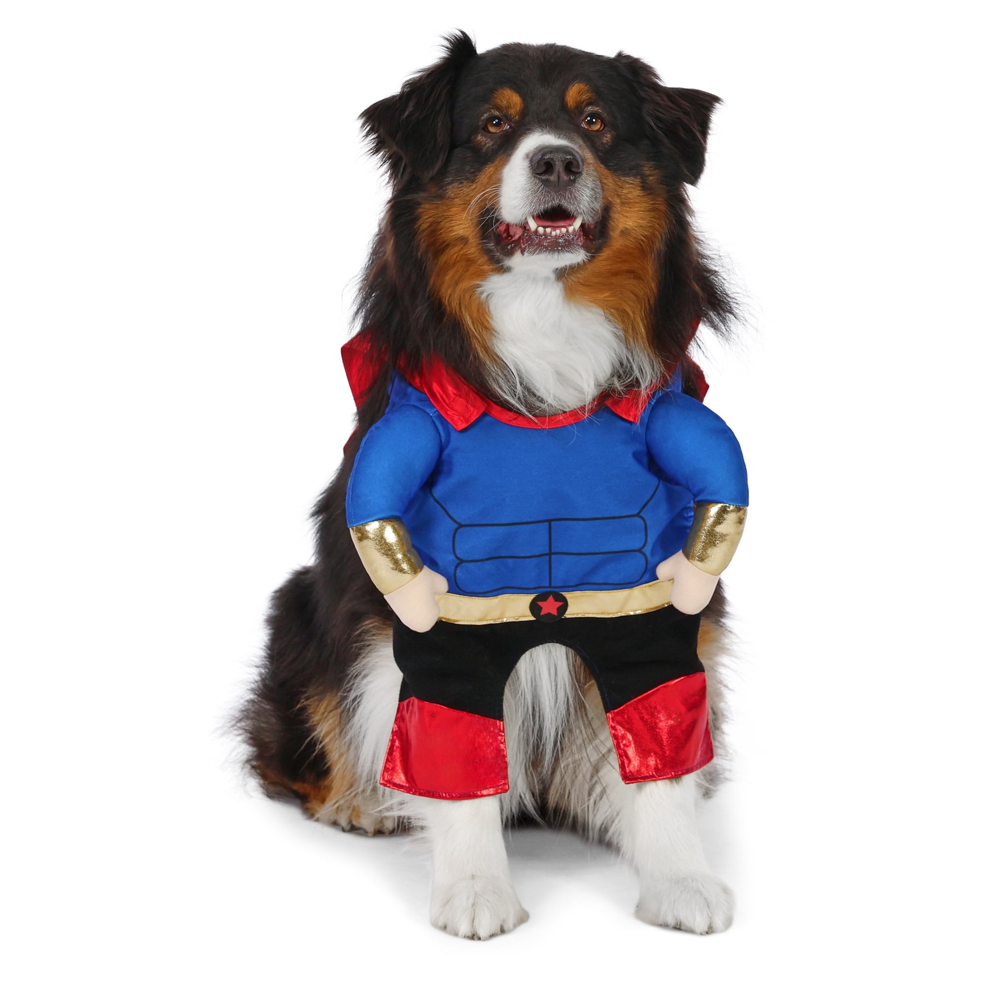 Vibrant Life Halloween Superhero Costume for Dogs, Multicolor, Large