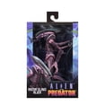 thumbnail image 5 of NECA - Aliens vs Predator (Arcade Appearance) - 7" Scale Action Figures - Razor Claws, 5 of 7