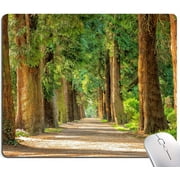 Trees Mouse Pad, Green Forest Mouse Pads, Natural Mouse Pad, Mouse Mat Square Waterproof Mouse Pad Non Slip Rubber Base