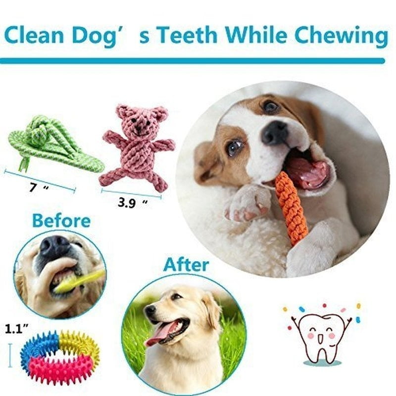 durable puppy toys