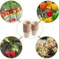 Flower Vase Hydroponic Plant Transparent Vase Wooden Frame Coffee Shop