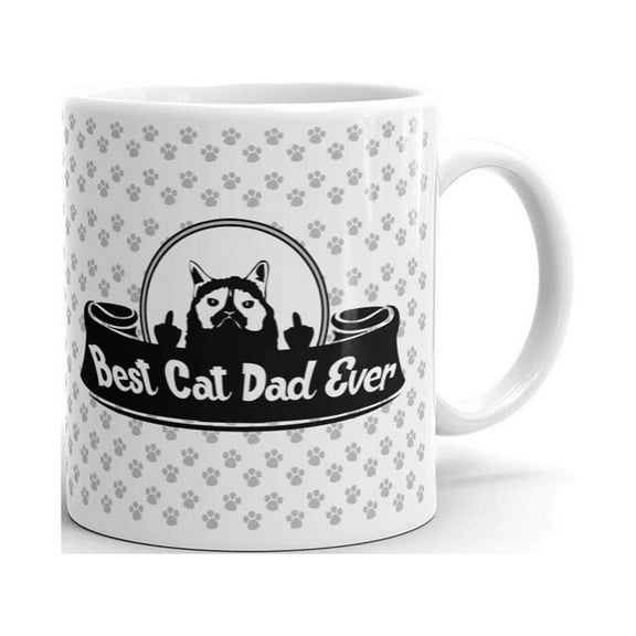 Best Cat Dad Ever Crazy Funny Coffee Tea Ceramic Mug Office Work Cup Gift 11 Oz