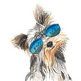 thumbnail image 2 of Pinto, Patricia 20x20 White Modern Wood Framed Museum Art Print Titled - Yorkie with Shades, 2 of 4