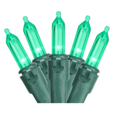 Orange Oval Lights - Northlight 100 ct. LED Mini Lights with Green Wire 4 in. Spacing