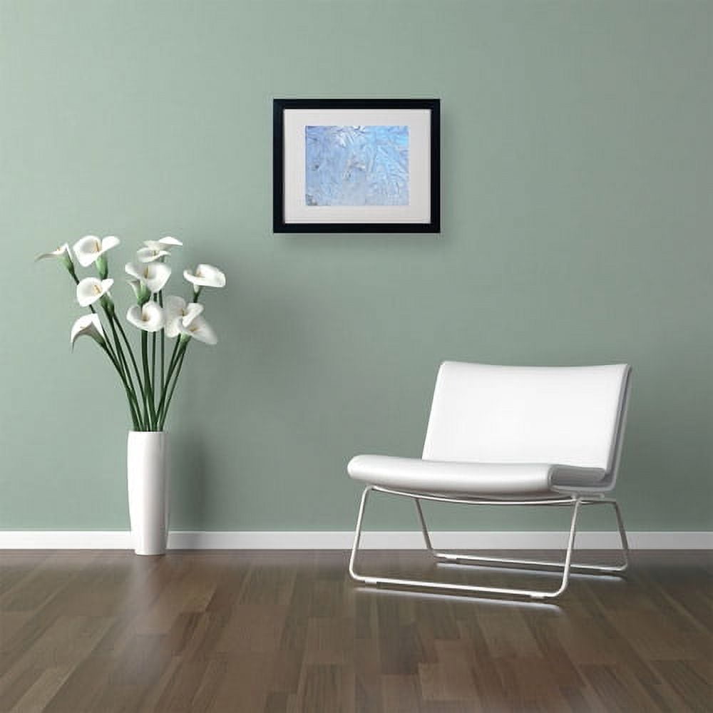 Trademark Fine Art "Frost Pattern 3" Canvas Art by Kurt Shaffer, Black Frame