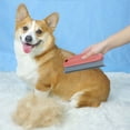 thumbnail image 5 of Versatile Pet Hair Removal Tool – Washable Lint Brush for Dog & Cat Hair on Furniture, Cars, Carpets Clothes, & Sofas, Double Serrated Design, 5 of 9