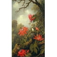 thumbnail image 2 of Heade, Martin Johnson 20x32 White Modern Wood Framed Museum Art Print Titled - Hummingbird and Passionflowers, 2 of 4