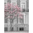 thumbnail image 2 of Frank, Assaf 19x24 White Modern Wood Framed Museum Art Print Titled - Magnolia tree outside house in London, 2 of 4