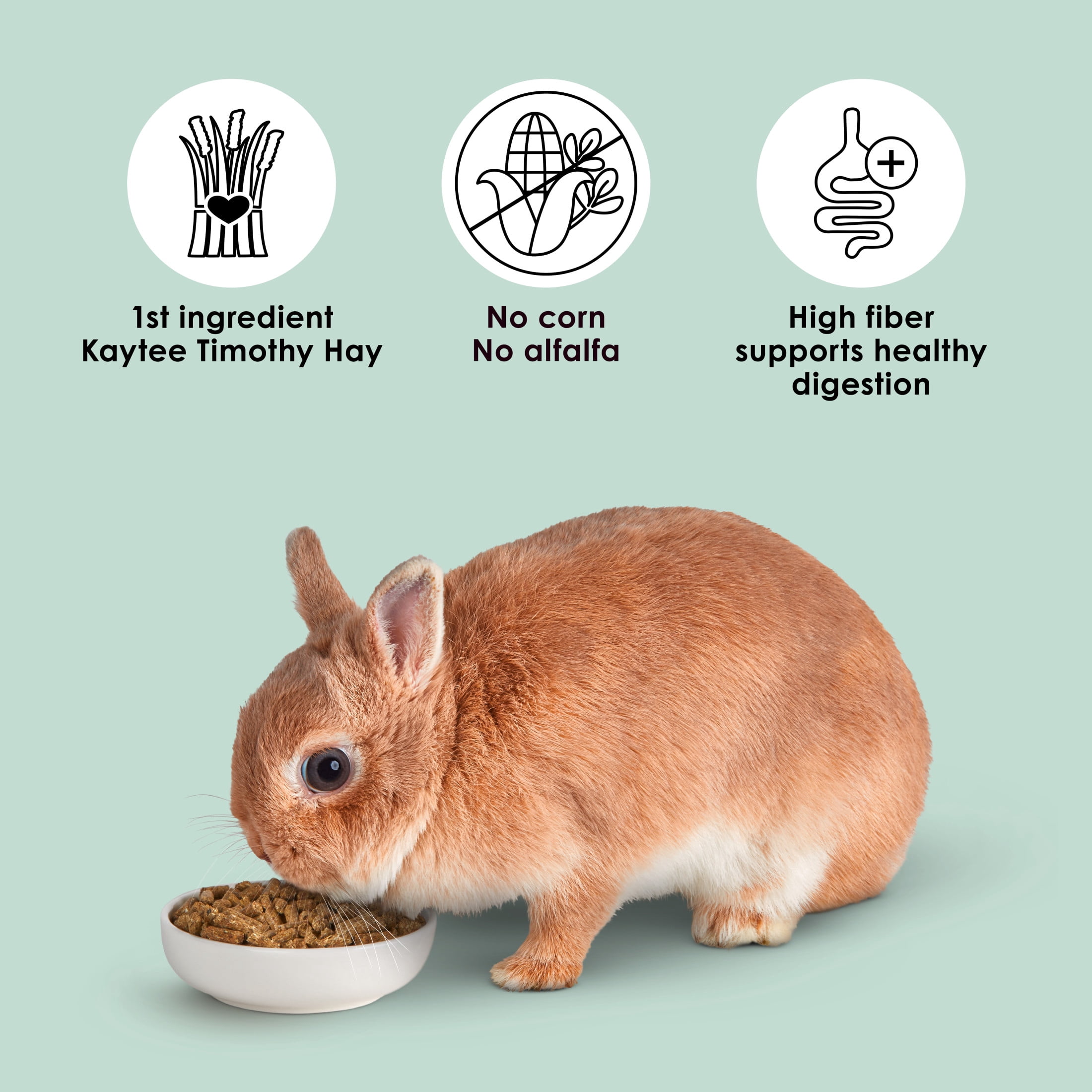 Kaytee Timothy Complete Rabbit Food Timothy Hay 25 Pounds