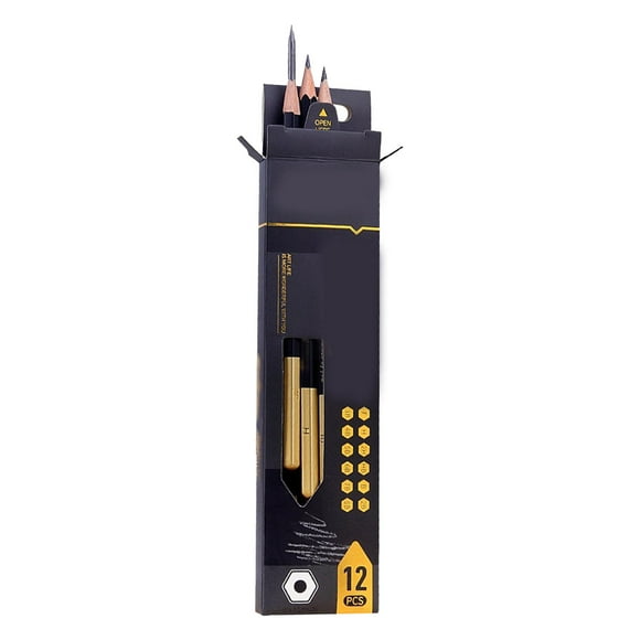 Crayon à charbon de bois, coquille de croquis graphite 12pcs pour le studio d'art pour l'école
