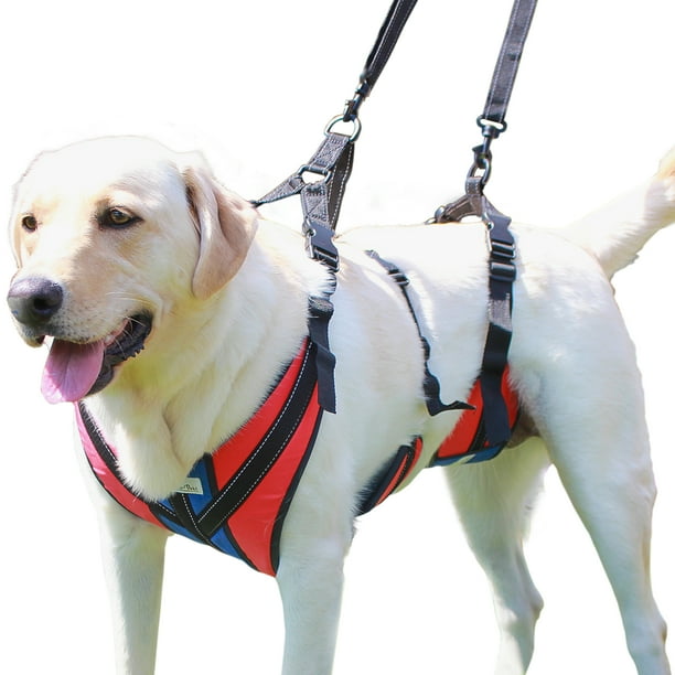 figure 8 dog harness