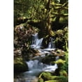 thumbnail image 2 of Falls in the Forest I Poster Print by Brian Moore (12 x 18), 2 of 2