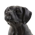 thumbnail image 6 of 14" x 20" Brown Polystone Dog Sculpture, by DecMode, 6 of 14