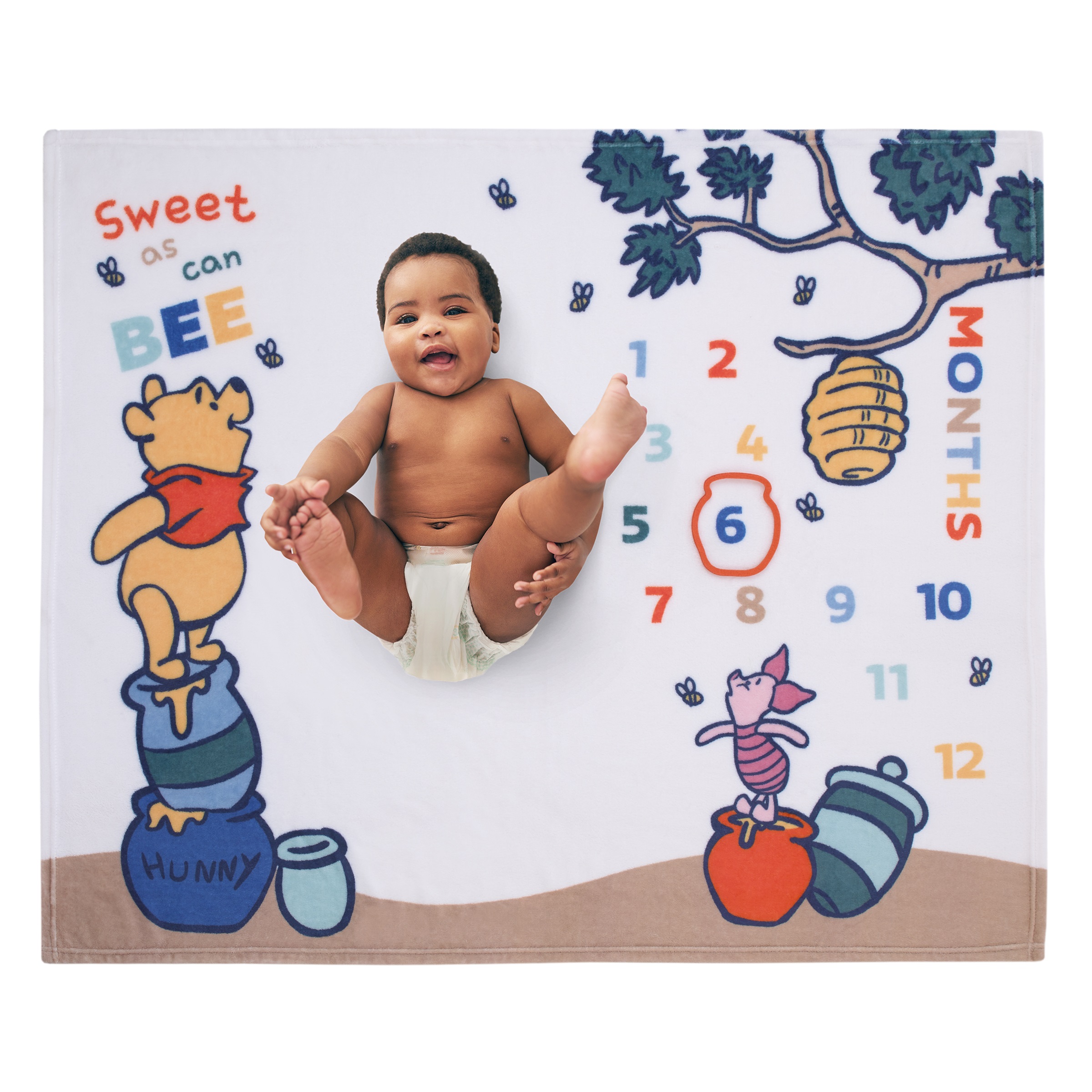 Disney Winnie the Pooh Photo Op Milestone Baby Blanket