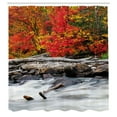 thumbnail image 3 of Ambesonne Autumn Shower Curtain, Fall Forest Driftwood, 69"Wx70"L, Red, 3 of 5