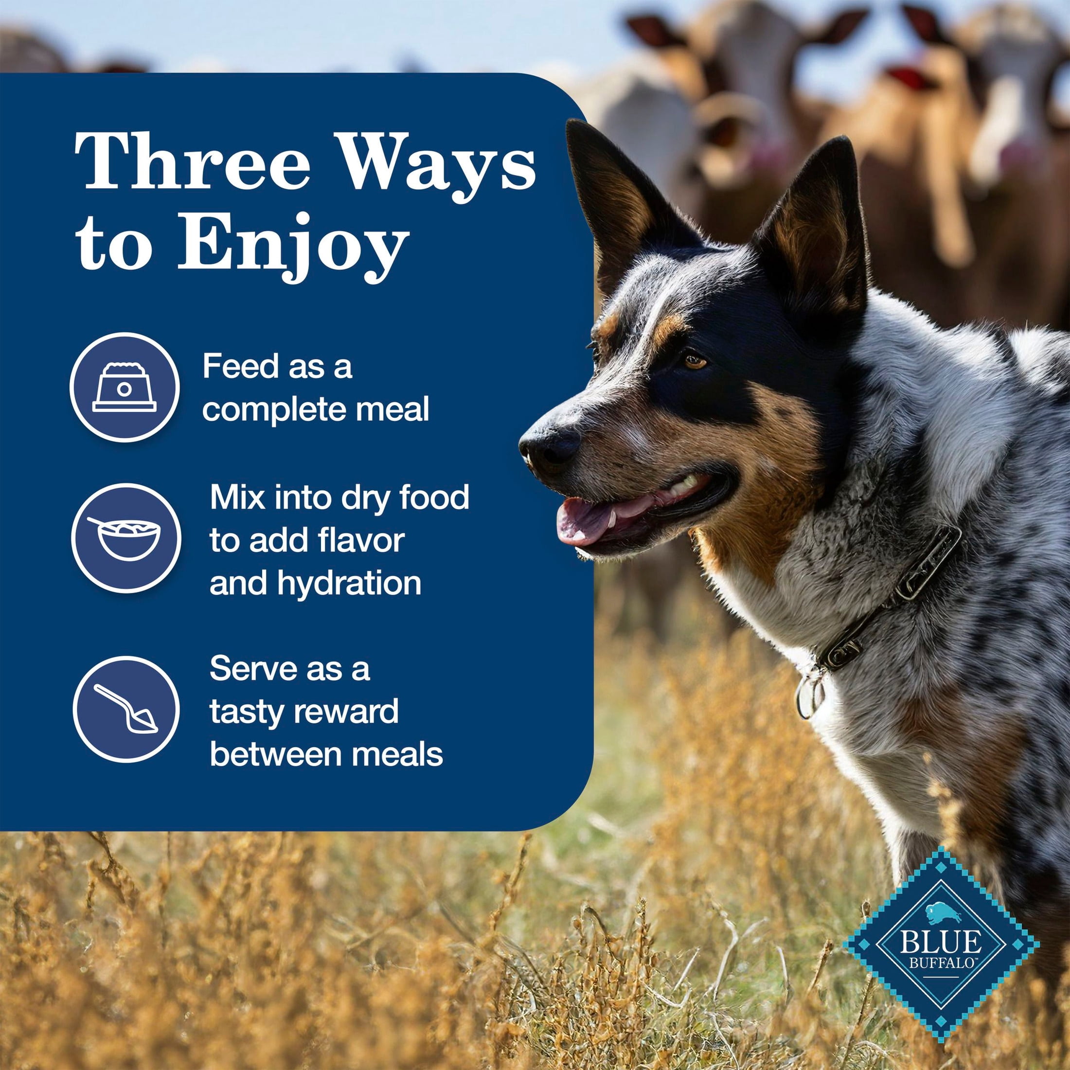 (24 pack) Blue Buffalo Homestyle Recipe Natural Adult Wet Dog Food, Chicken, 12.5oz. Can