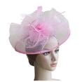 thumbnail image 1 of XASZHN Women Bridal Hair Clip with Feathers Lace Netting Head Accessory PK2_003 One Size, 1 of 3
