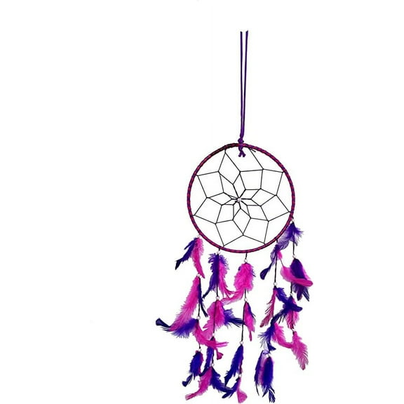 Rastogi Handicrafts Dream Catchers Wall Decor, Handmade Feather Nursery Room Hanging Decoration Home Car Bedroom Decor (Blue & Pink Ring)