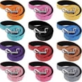 thumbnail image 1 of 12 Pack Double Sided Reflective Dog Leash, Nylon Leashes with Padded Handle for Small, Medium, and Large Dogs, 5 Feet Long, Perfect for Walking and Training, 1 of 6